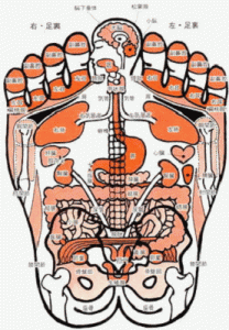 k-018